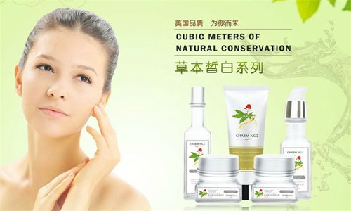 秀匣化妝品 視覺美學與品牌魅力，一站式店鋪裝修與產品展示指南